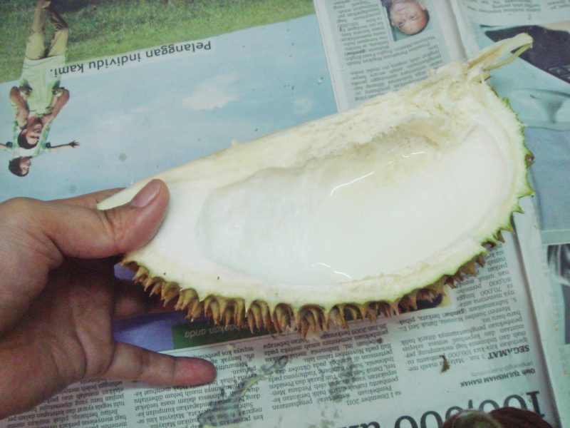 Image result for minum dalam pangsa durian